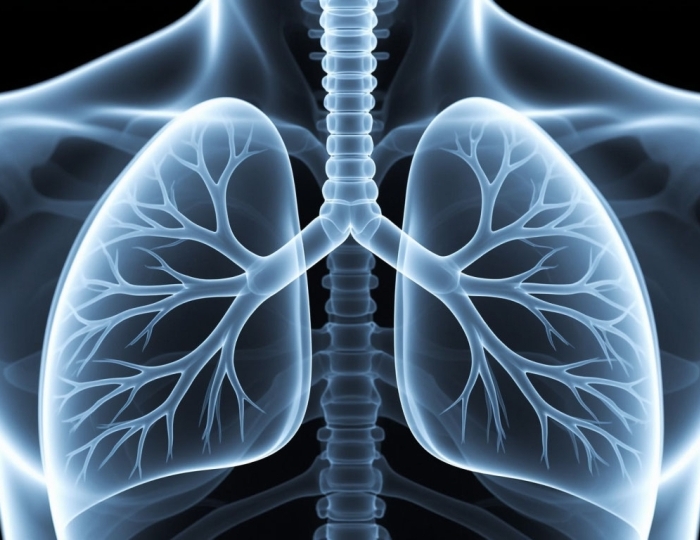 Лечение органов дыхания, лор-органов - Лечебные программы - Санаторий «Крепость» Кисловодск